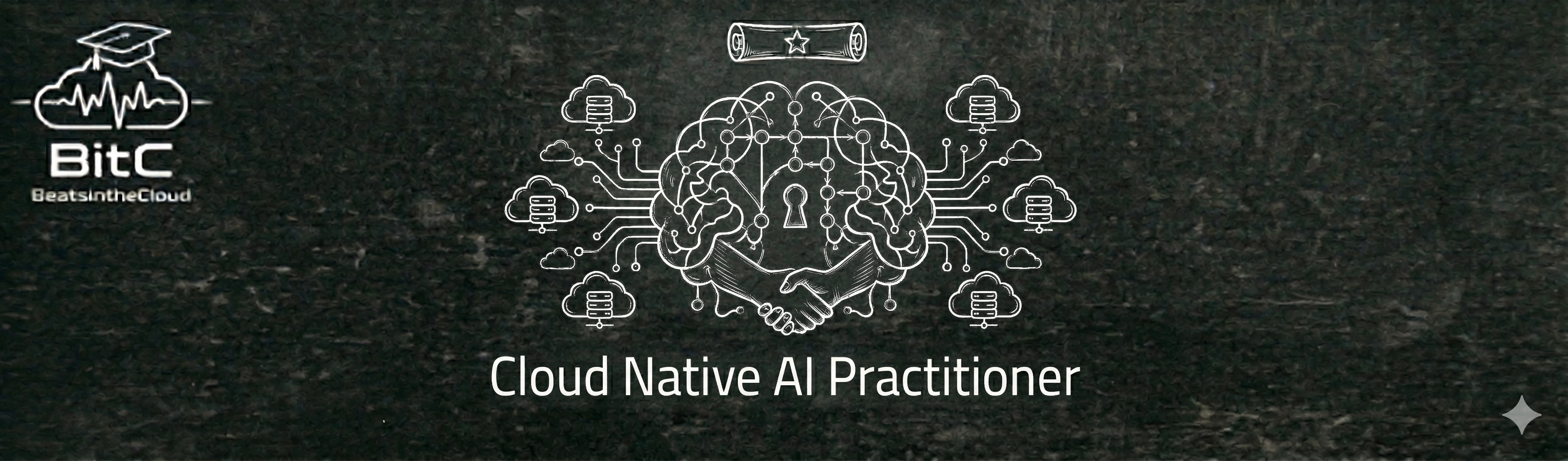 Cloud Native AI Practitioner Logo