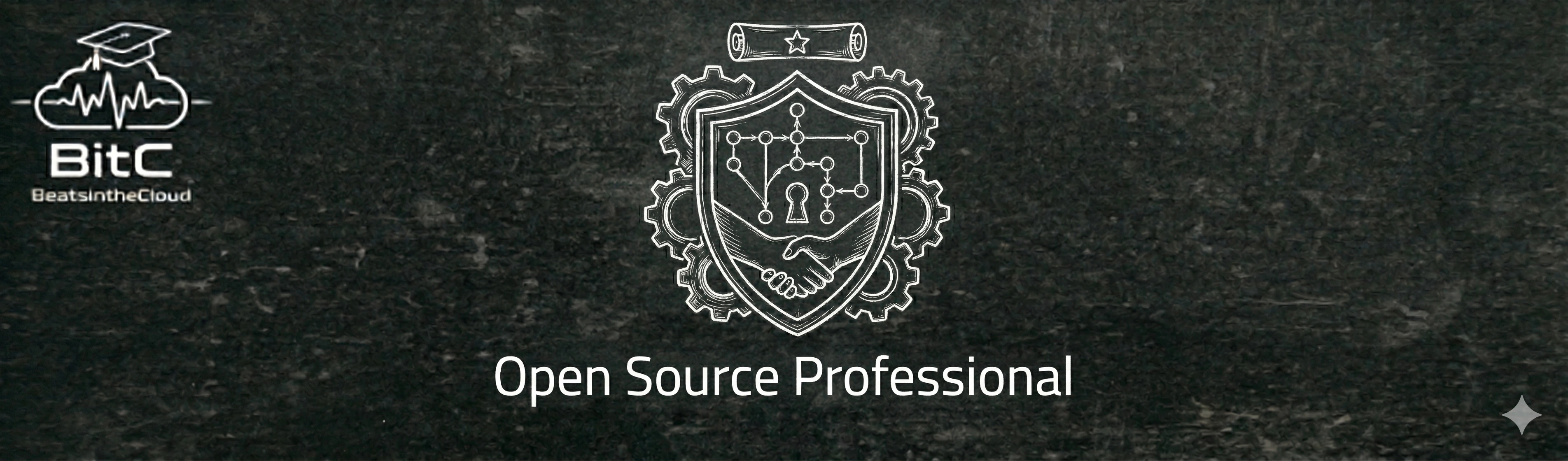 Open Source Professional Logo